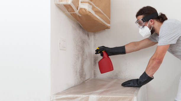 Professional Mold Inspection technician working in Baldwin, NY