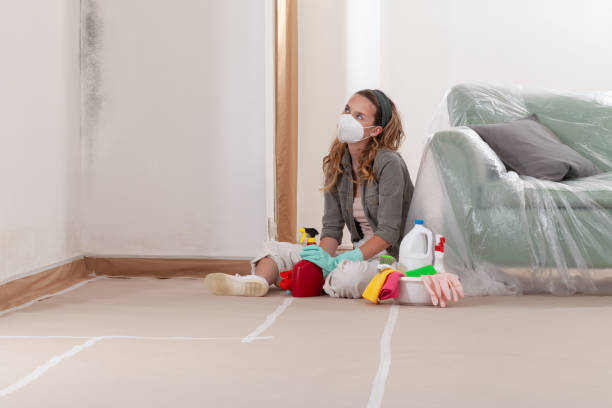 Reliable Mold Inspection contractor in Baldwin, NY by WQB Mold Removal